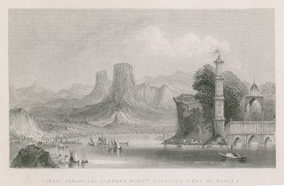 Mount Vesuvius and the Bay of Naples by English School
