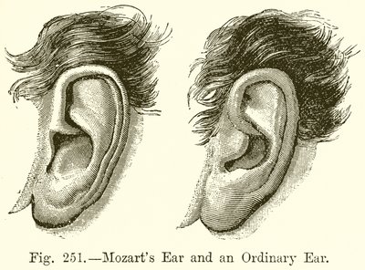 Mozart