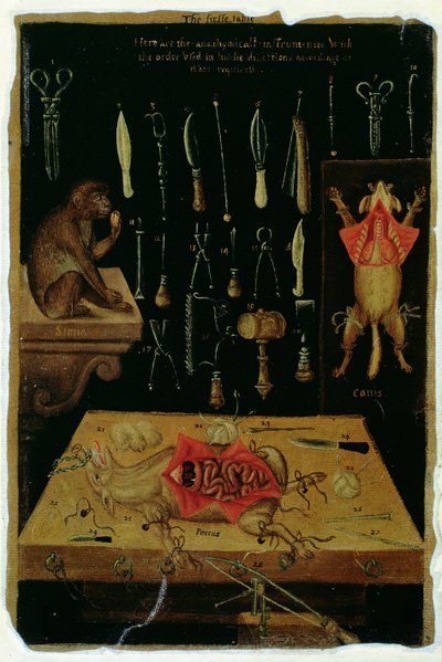 Dissection Instruments, from Anatomical Tables, by John Banister by English School