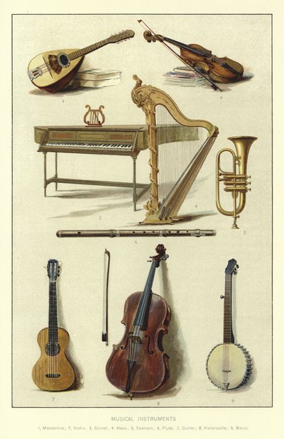 Musical Instruments by English School