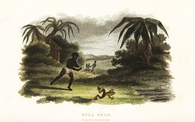 Native American man losing a race with a bull frog to a pond by English School