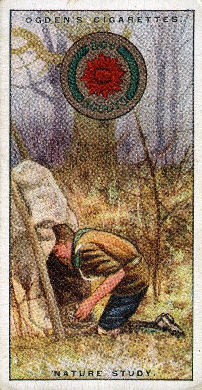 Nature Study Badge for Scouts, Scout Entering a Hide by English School