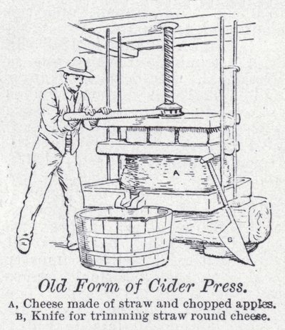 Old form of cider press by English School