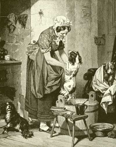 Order of the Bath by English School