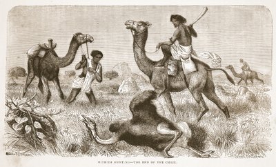 Ostrich hunting - the end of the chase, illustration from The Pictorial Edition of the Life and Discoveries of David Livingstone by J. Ewing Richie by English School