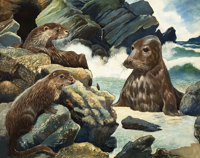 Otters and Walrus by English School
