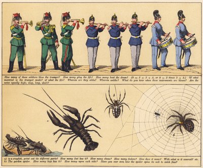 Page from The New Picture Book by English School