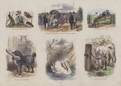 Page from the Attractive Picture Book by English School