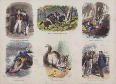Page from the Attractive Picture Book by English School