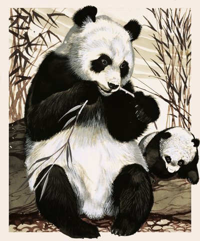 Panda and cub by English School