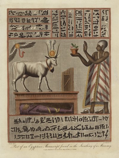 Part of an Egyptian Manuscript Found in the Swathing of a Mummy by English School