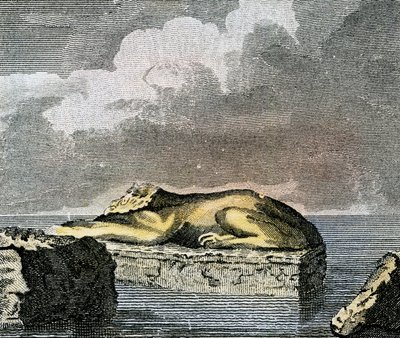 Part of an Egyptian Sphinx Found in the Ruins of the Ancient City of Canopus by English School