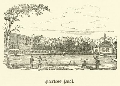 Peerless Pool by English School