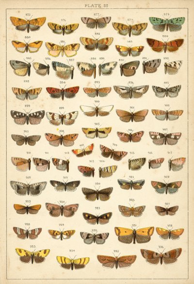 Plate from Our Country