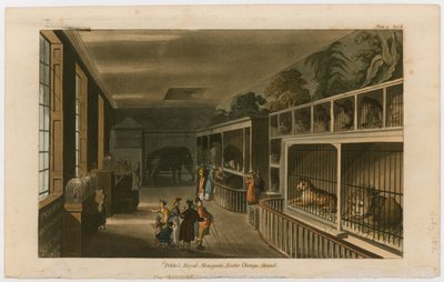 Politos Royal Menagerie, Exeter Change, Strand by English School