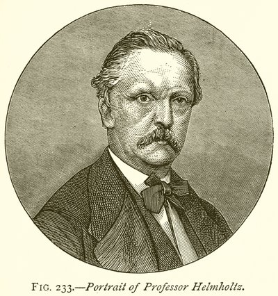 Portrait of Professor Helmholtz by English School