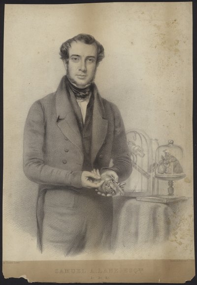 Portrait of Samuel Armstrong Lane by English School