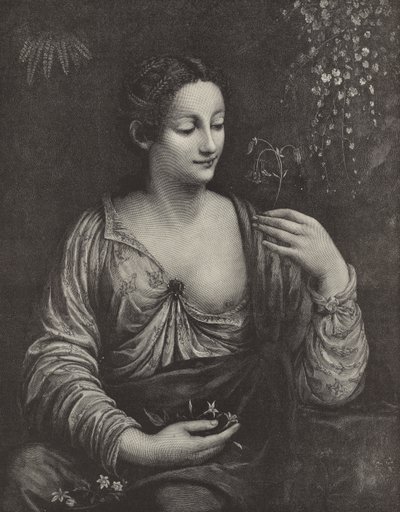 Portrait of a Young Lady by English School