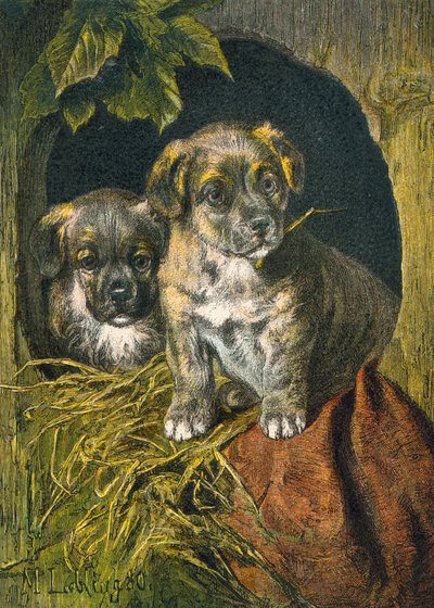 Puppies, first appearance by English School