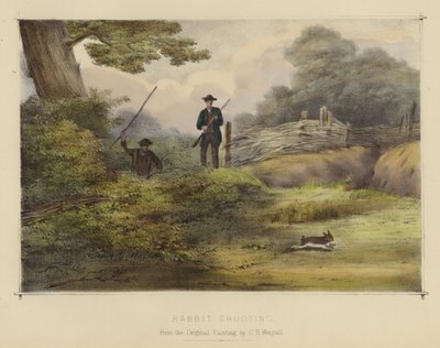 Rabbit Shooting (colour litho) by English School