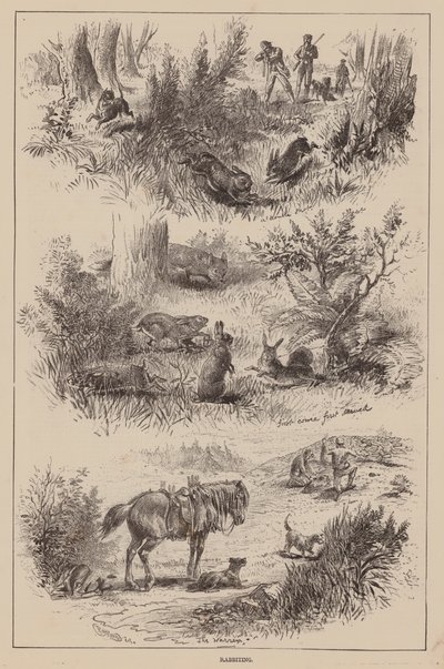 Rabbiting by English School