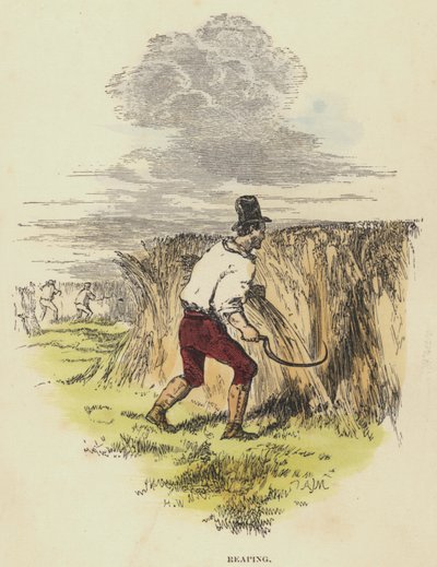 Reaping by English School