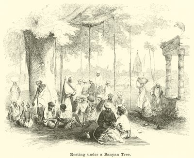 Resting Under a Banyan Tree by English School