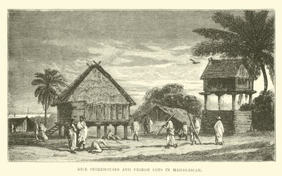 Rice Storehouses and Pigeon Cots in Madagascar by English School