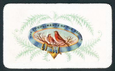 Robins sitting in oval with fern surround by English School