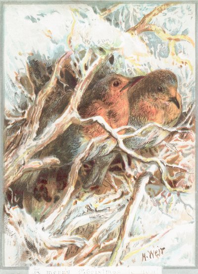 Robins Sitting on Branch by English School