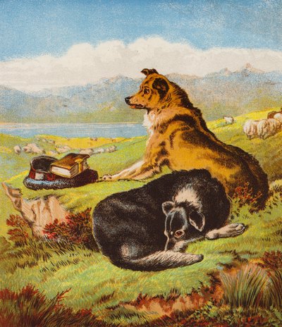 Rover and Hector by English School