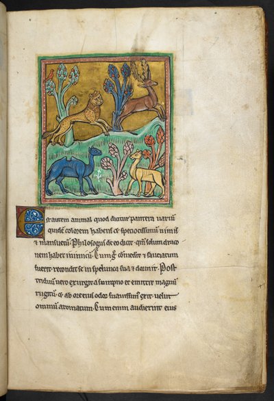 A leopard chasing a stag, with a camel and another animal, from Bestiary, Lapidary by English School