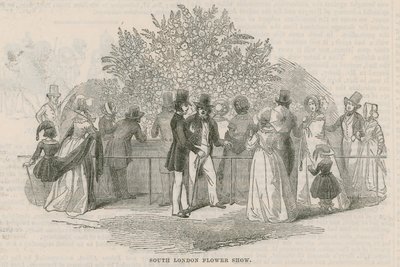 Royal South London Horticultural Society by English School