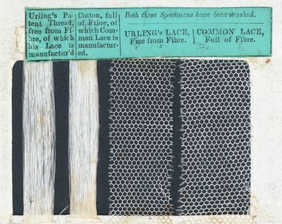 Samples of Urlings Lace by English School