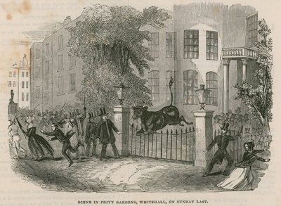 Scene in Privy Gardens by English School