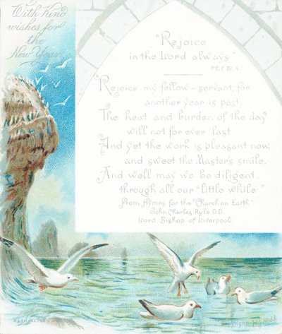 Seagulls by the ocean by English School