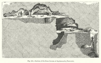 Section of the bone cavern of Gaylenreuth, Franconia by English School