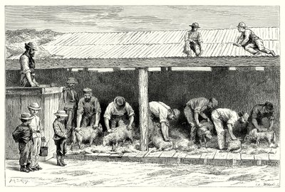 Sheep-Shearing by English School