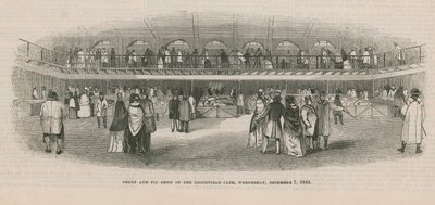 Sheep and Pig Show of the Smithfield Club by English School