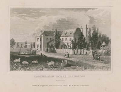 Sheep Grazing on Ground Before the Copenhagen House by English School