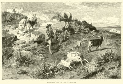 Shepherd Boy in the Campagna by English School