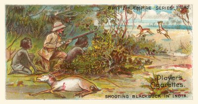 Shooting Blackbuck in India by English School