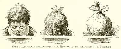 Singular Transformation in a Boy Who Never Used His Brains! by English School