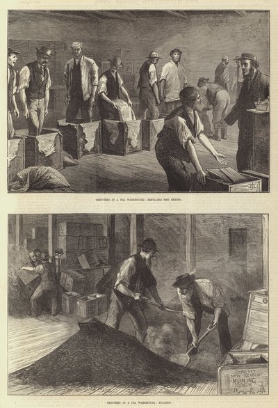 Sketches at a Tea Warehouse by English School