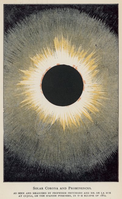 Solar Corona and Prominences, as seen and measured by Professor Pritchard and Mr De La Rue by English School