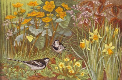 Spring by English School