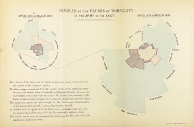 Statistical chart invented by Florence Nightingale to show the predominance of disease as a cause of mortality in the British army during the Crimean War, April 1854 to March 1855 and April 1855 to March 1856 by English School
