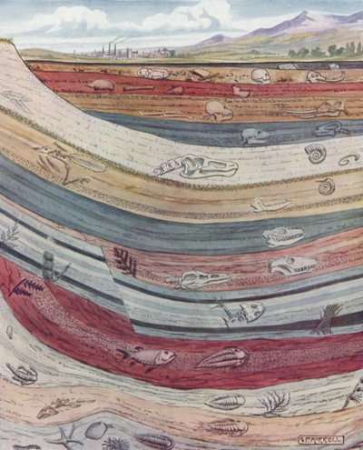 Strata of the Earth
