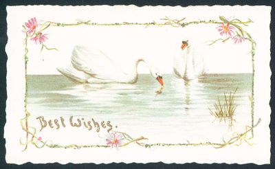 Swans on Lake by English School