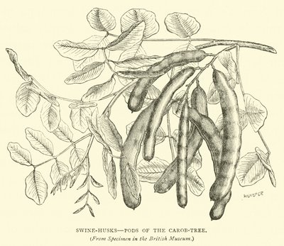 Swine Husks, Pods of the Carob-Tree by English School
